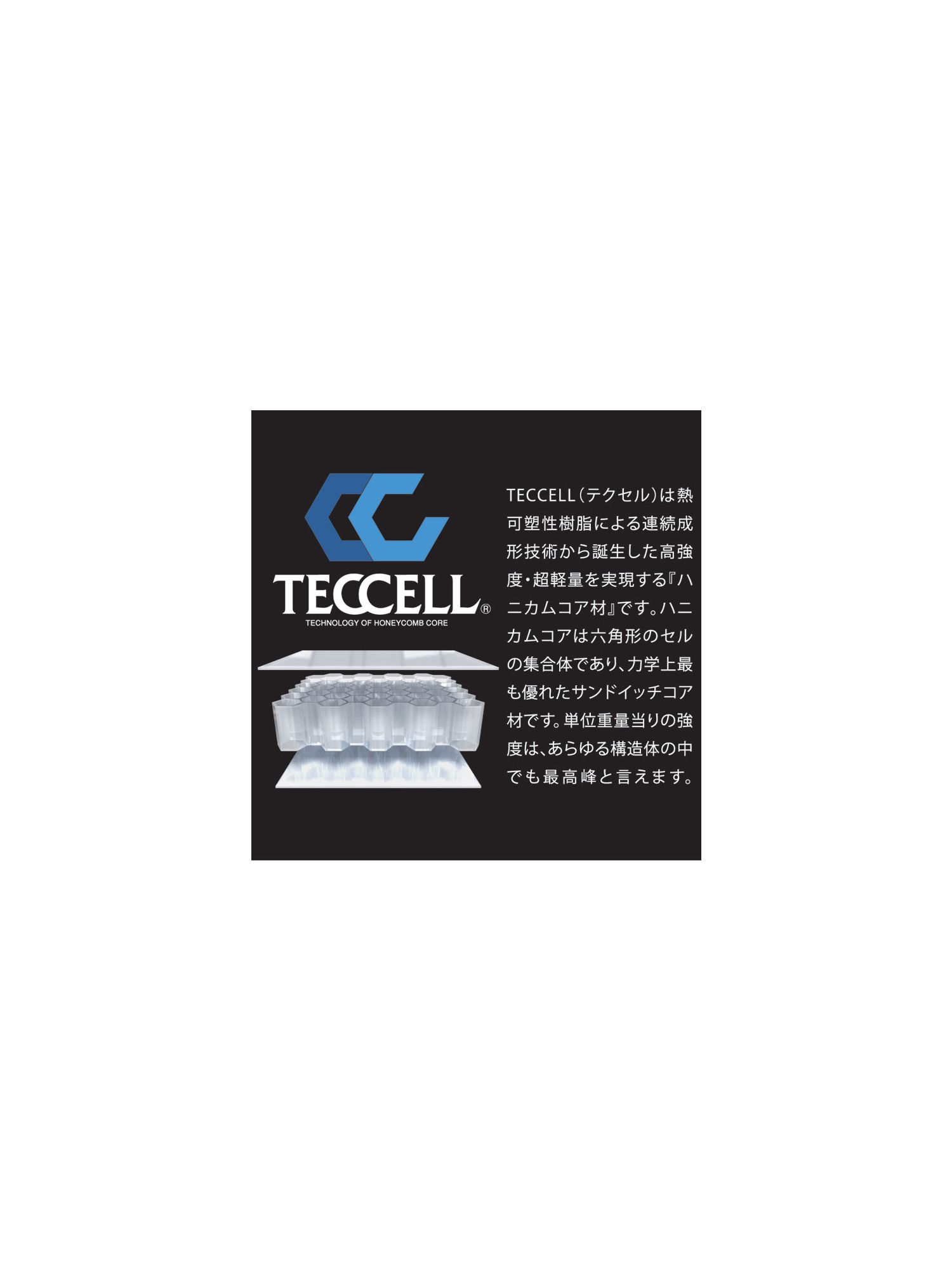 TRV063 | TECCELL CHEST PROTECTOR (WITH BUTTON)【MEN'S】［1color］